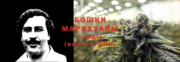 твердый Надым