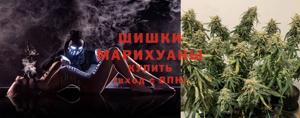 spice Дубовка