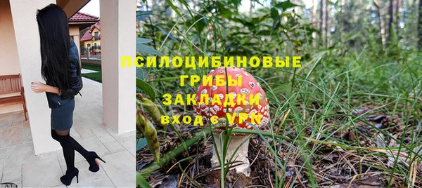 spice Дубовка