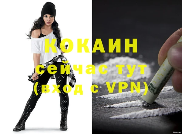твердый Надым